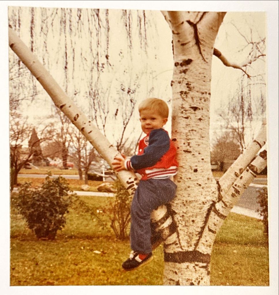 the author sits on a utah white tree with hanging down tree in the background